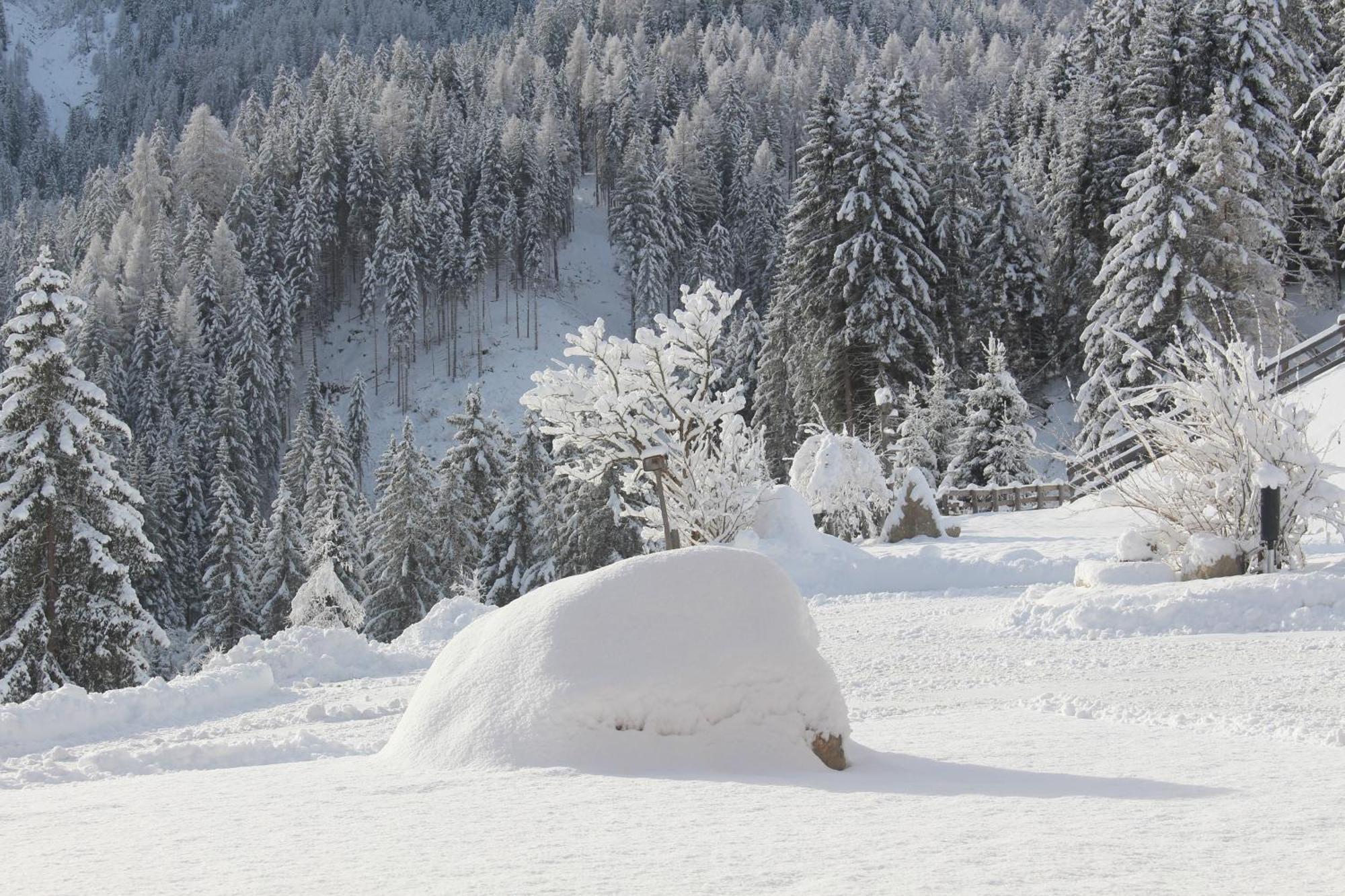 Almresidenz Unterrain -1 Km By Car Distance Ski Slopes Kronplatz Olang Exterior foto