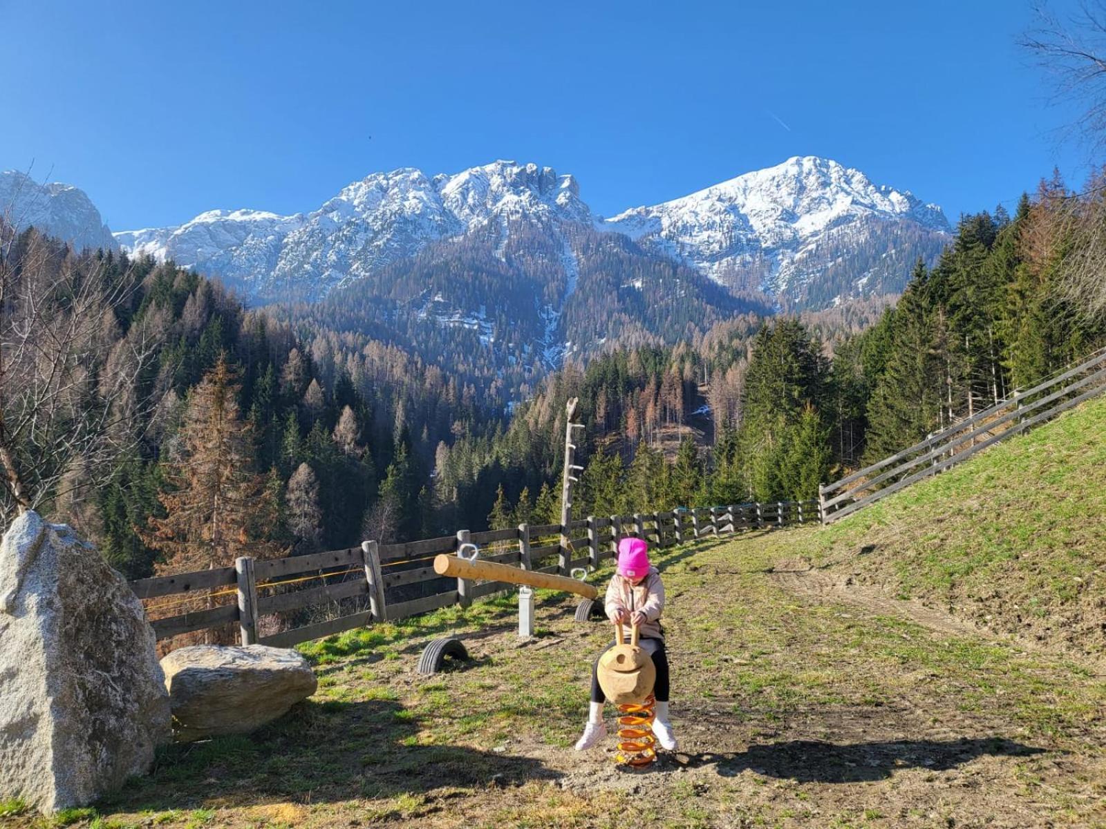 Almresidenz Unterrain -1 Km By Car Distance Ski Slopes Kronplatz Olang Exterior foto